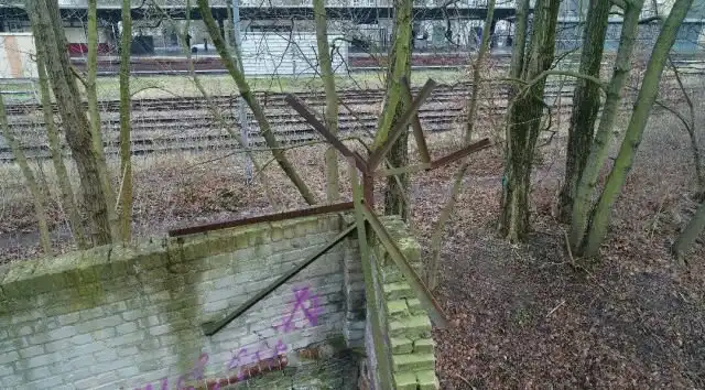 В лесу обнаружили уцелевший фрагмент Берлинской стены