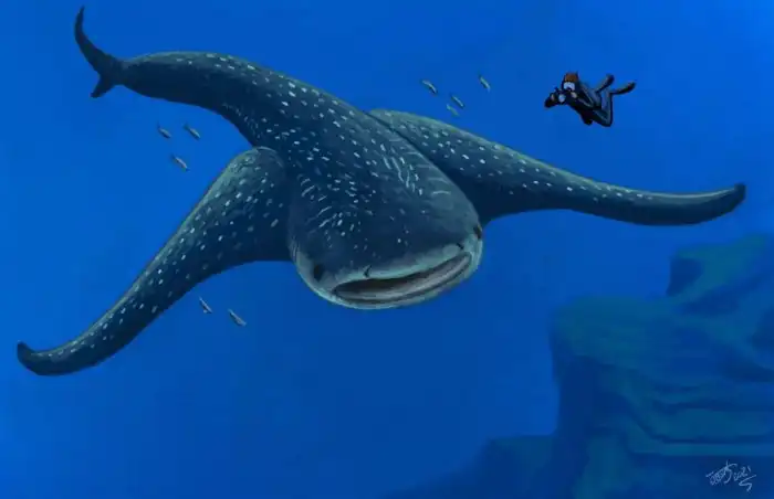 Аквилоламна: «Летающая» акула, или зачем небольшой рыбе плавники длиной в 2 метра?